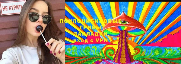 прущие грибы Алексеевка