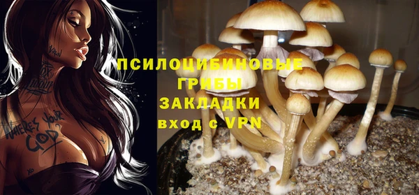 spice Волосово