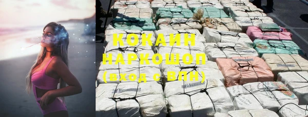 ПСИЛОЦИБИНОВЫЕ ГРИБЫ Горняк